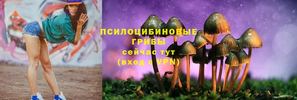 кокаин перу Богданович