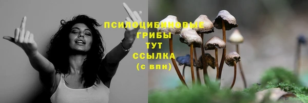 jwh Богородицк