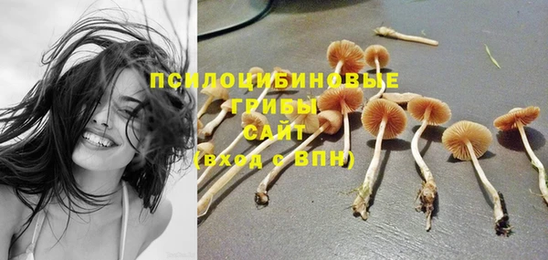 jwh Богородицк