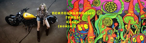 кокаин перу Богданович