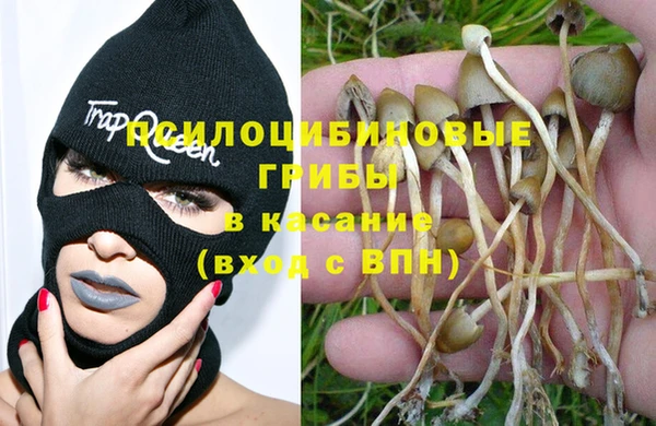 кокаин перу Богданович