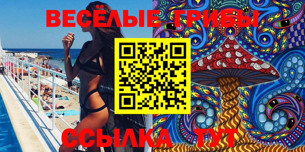 Галлюциногенные грибы GOLDEN TEACHER  Галлюциногенные грибы Psilocybine cubensis  Реж  Вход с VPN 